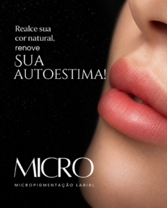 micro_labial_1